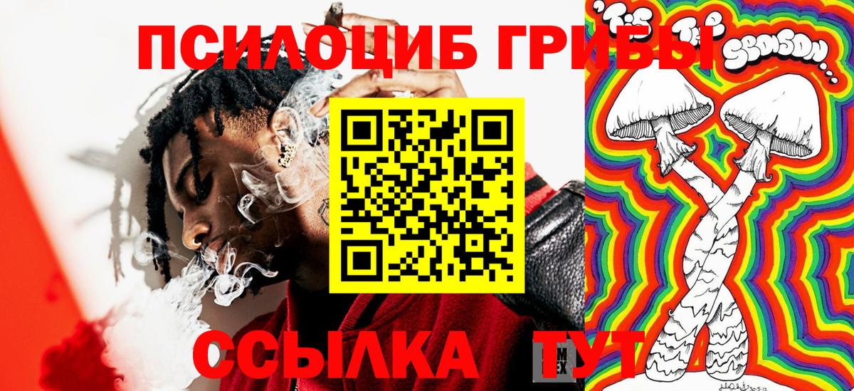 Клинцы  Псилоцибиновые грибы Magic Shrooms  Вход с VPN  цена наркотик  Псилоцибиновые грибы Cubensis 
