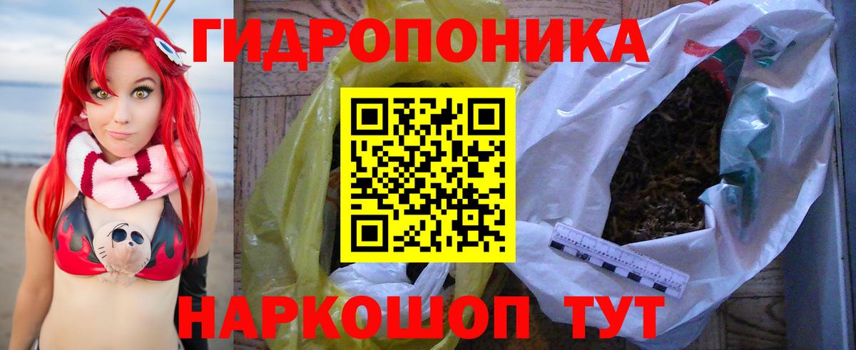 Марихуана ГИДРОПОН  Вход с VPN  МАРИХУАНА планчик  Шишки марихуана White Widow  Клинцы 